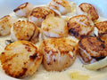 10/20 Scallops - Creamy richness and mild sweetness.
