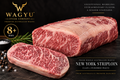 Fresh Whole Australian Wagyu New York Striploin — 8+ BMS